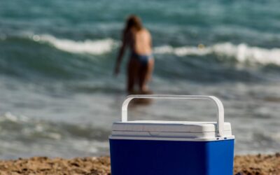 Twój prowiant potrzebuje ochłody w czasie podróży? Zobacz, jak wybrać idealną lodówkę na jacht lub do kampera