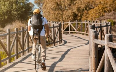 Rowerowa przygoda na Orlich Gniazdach a dobrze dobrane ubezpieczenie